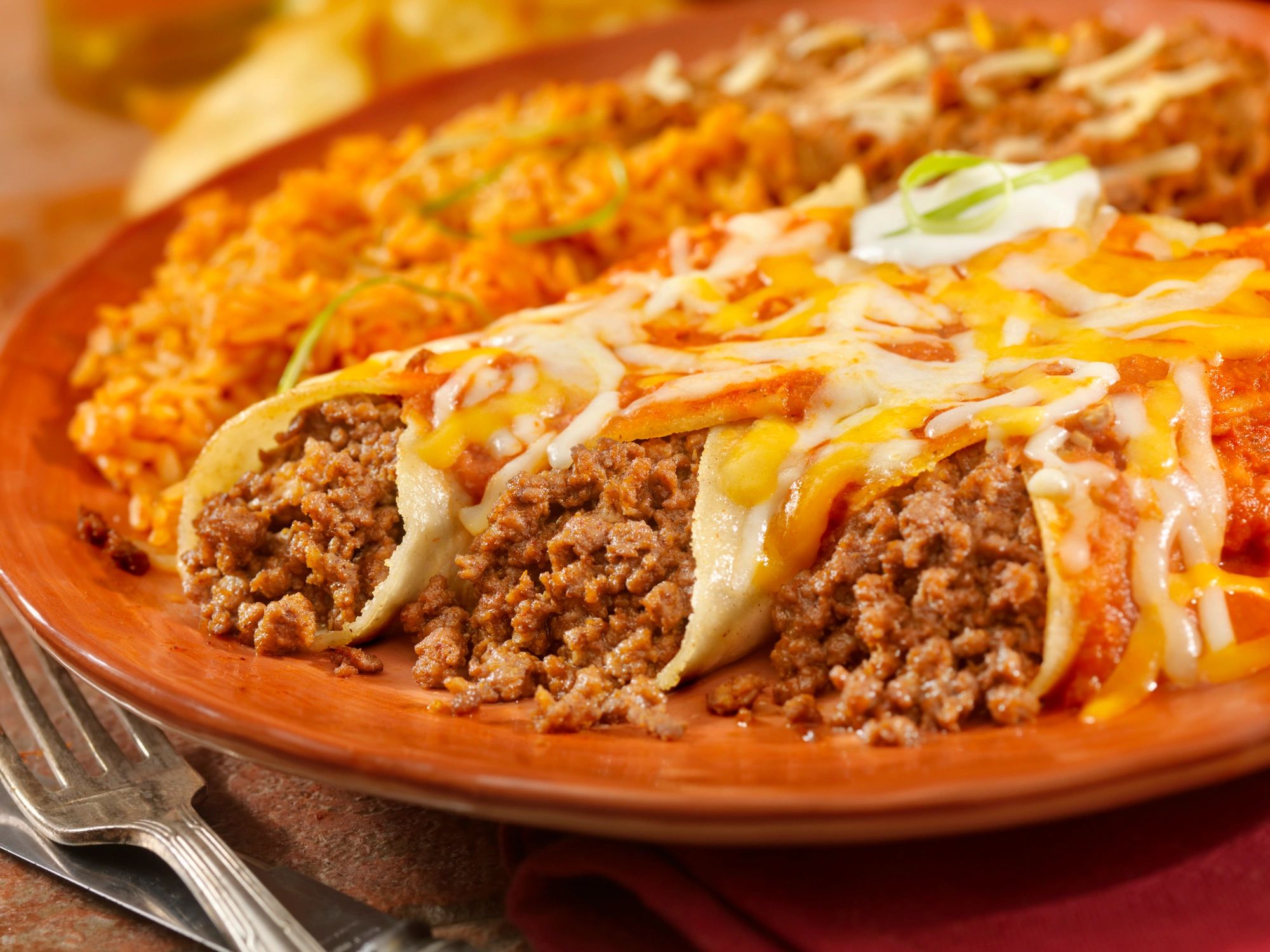 Beef enchiladas with tomato sauce and melted cheese